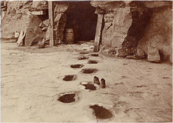 Footprints of giant sloth. Note the pair of shoes next to one of the prints.